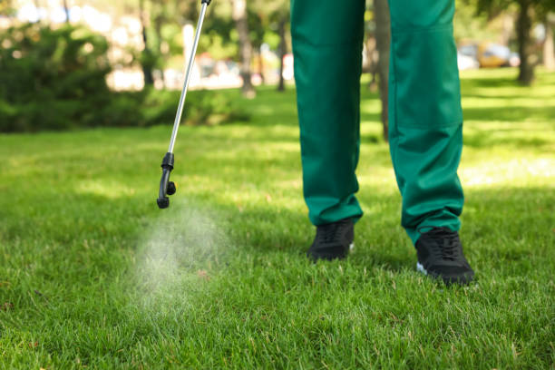 Trusted Chattanooga Valley, GA Pest Control Experts