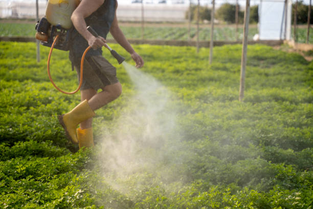 Best Pest Removal Services  in Chattanoo Valley, GA
