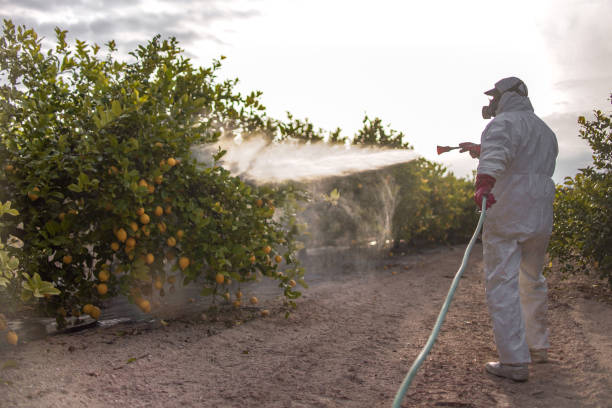 Best Pest Inspection Near Me  in Chattanoo Valley, GA