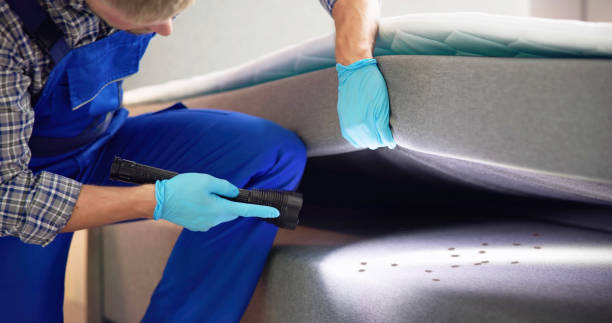 Best Ant Control Services  in Chattanoo Valley, GA