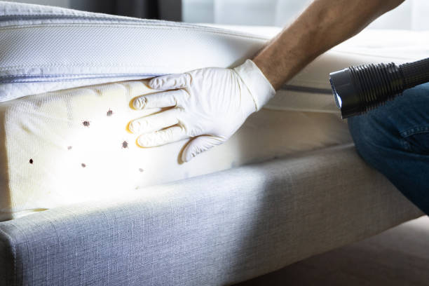 Best Local Pest Control Services  in Chattanoo Valley, GA
