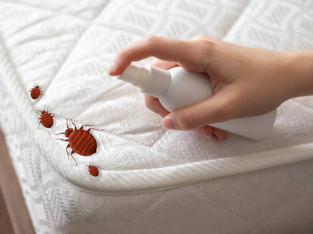 Best Residential Pest Control  in Chattanoo Valley, GA