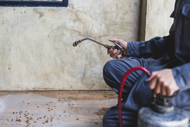 Best Wasp Removal Services  in Chattanoo Valley, GA